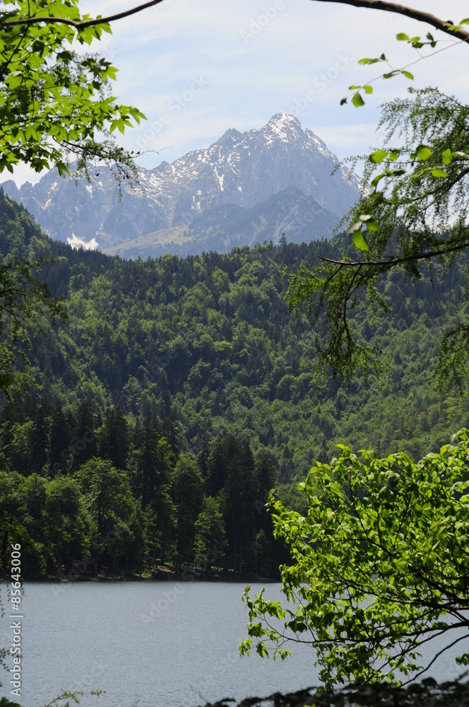Alpsee lake in German Alps, on the backside of Hohenschwangau castle 