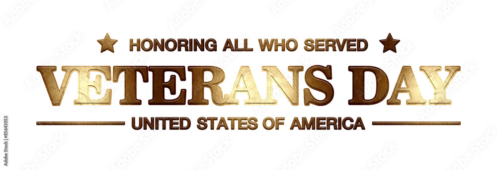 logo veterans day - obrazy, fototapety, plakaty 