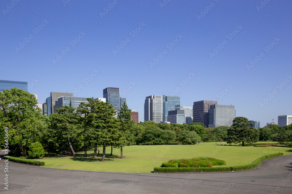 Obraz premium 皇居東御苑からの大手町ビル群の眺め