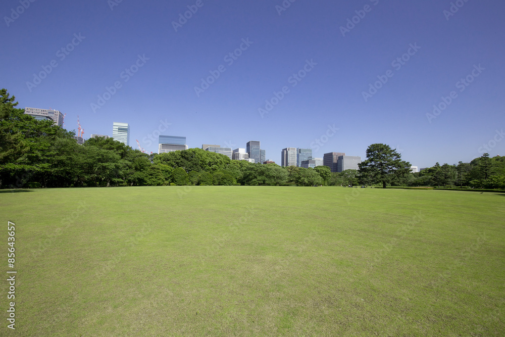 皇居東御苑からの大手町ビル群の眺め