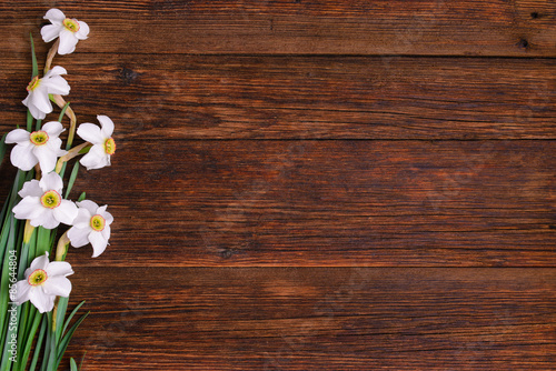 Daffodils on wooden background, copy space © vrozhko