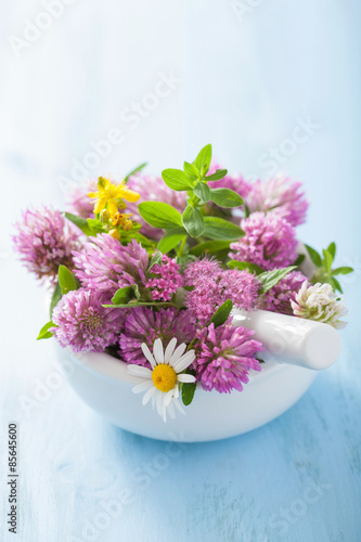 colorful medical flowers and herbs in mortar