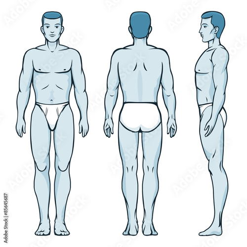 Man body model. Front, back and side human poses