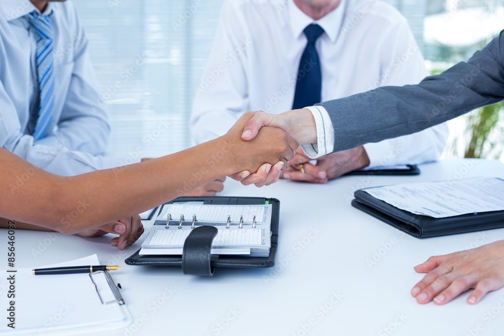Fototapeta premium Business colleagues shaking hands