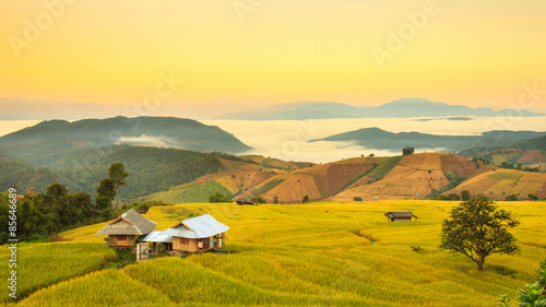 Sunrise at Terraced Paddy Field in Mae-Jam Village , Chiang Mai Province , Thailand © Southtownboy Studio