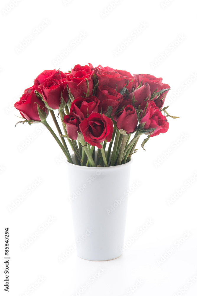 Obraz premium red rose
