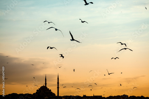 Mosque silhouette Istanbul photo