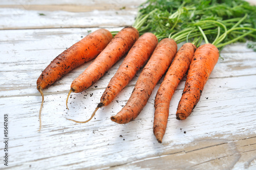 carottes étalées sur table bois blanc