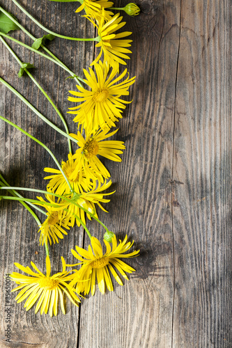 yellow flowers photo