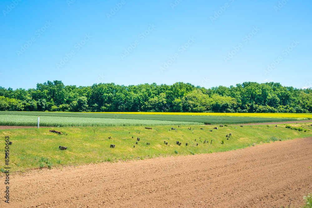 Ukrainian farmland