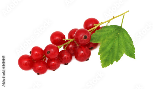 Bunch of ripe redcurrant with green leaf (isolated)