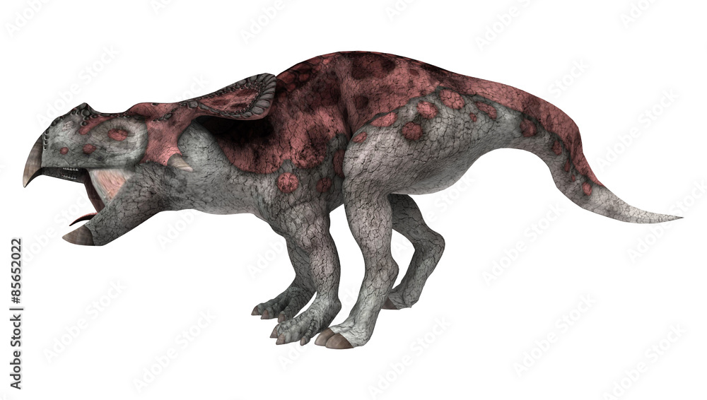 Fototapeta premium Dinosaur Protoceratops