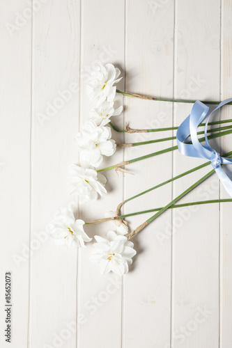 daffodilis
