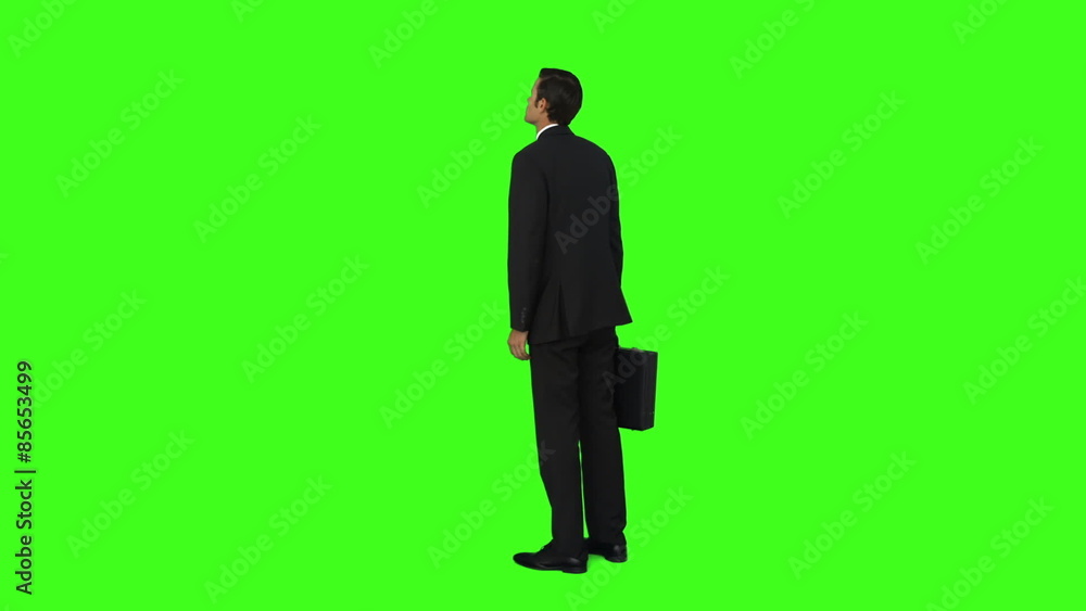Businessman standing with his briefcase Businessman standing with his briefcase