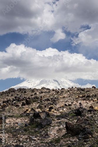 ararat (the highest) mountain in turkey