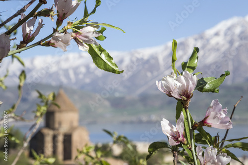 
Church of the Holy Cross is a ruined Armenian cathedral in Eastern Anatolia, Turkey photo