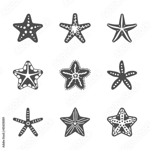 Vector shape set of various sea starfish