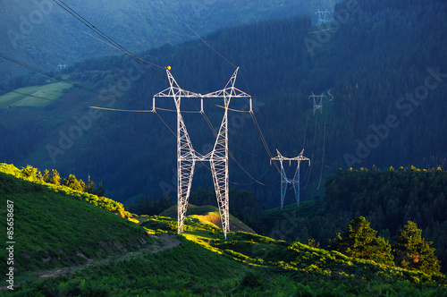 electric pole in nature