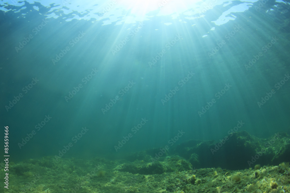 Underwater landscape