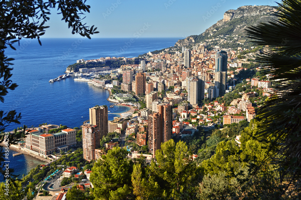 Fototapeta premium View of the city of Monaco. French Riviera