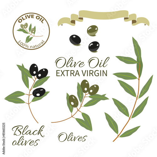 olive oil