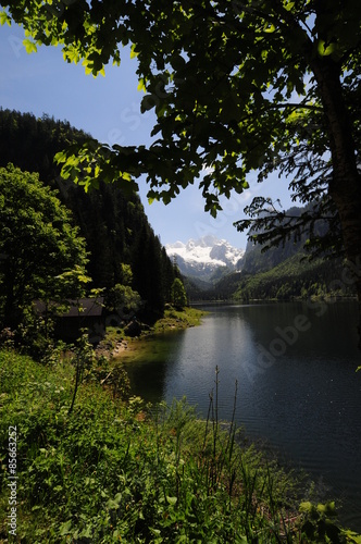 Fototapeta Naklejka Na Ścianę i Meble -  Alpine lake Gosausee, Austria