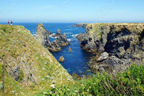 Aiguilles de port-coton