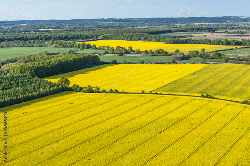 aerial view of yellow harvest fields