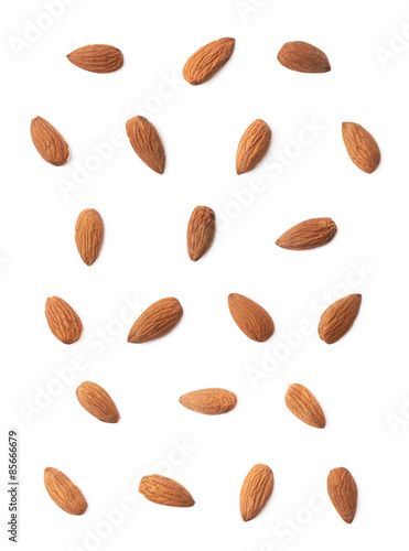 Set of multiple almond seed images