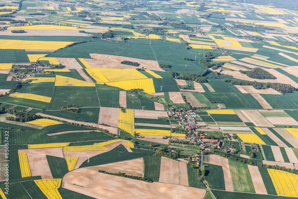 Fototapeta premium aerial view of harvest fields