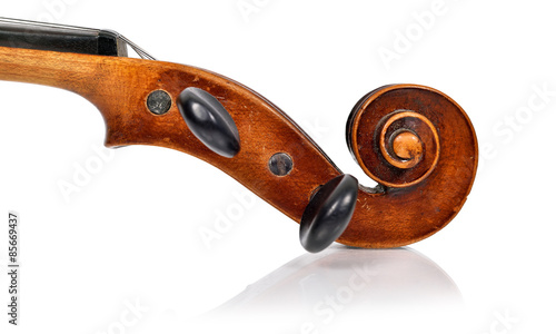 violin head photo