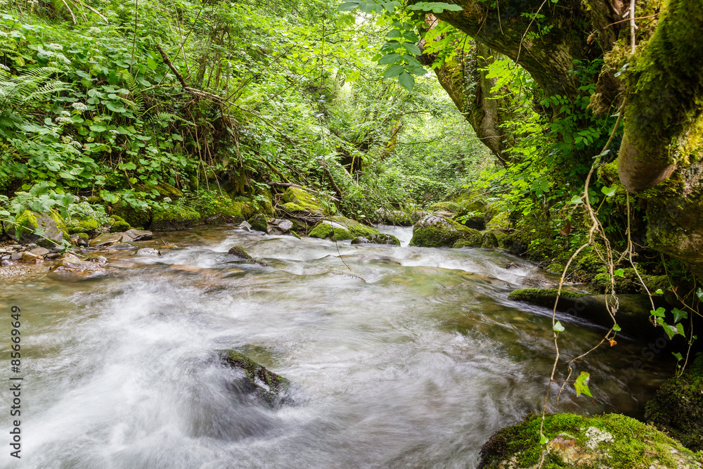 Fototapeta premium Torrentes de agua en el puerto de Leitariegos, Asturias, Spain