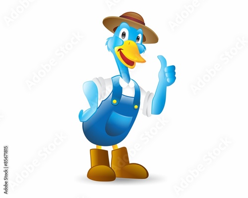 blue duck