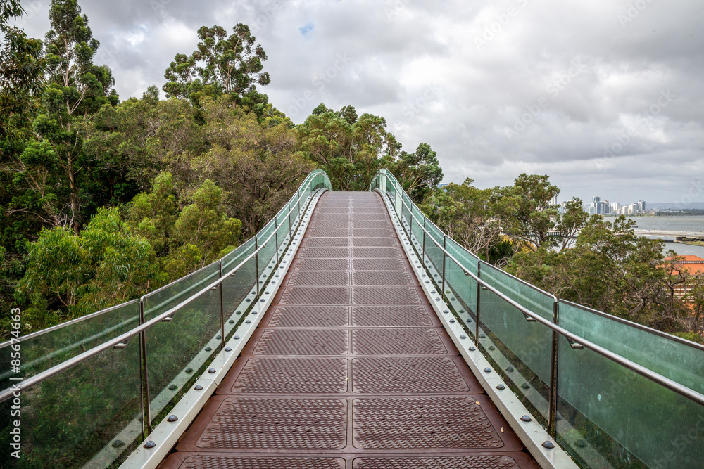 A hanging walking bridge over the trees in Kings Park in Perth