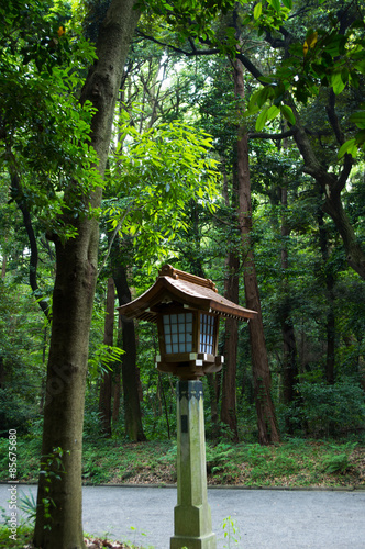 Japanese  lanterns in the forest.