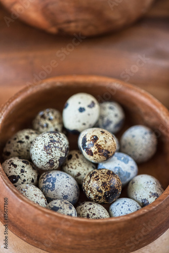 Fresh eggs