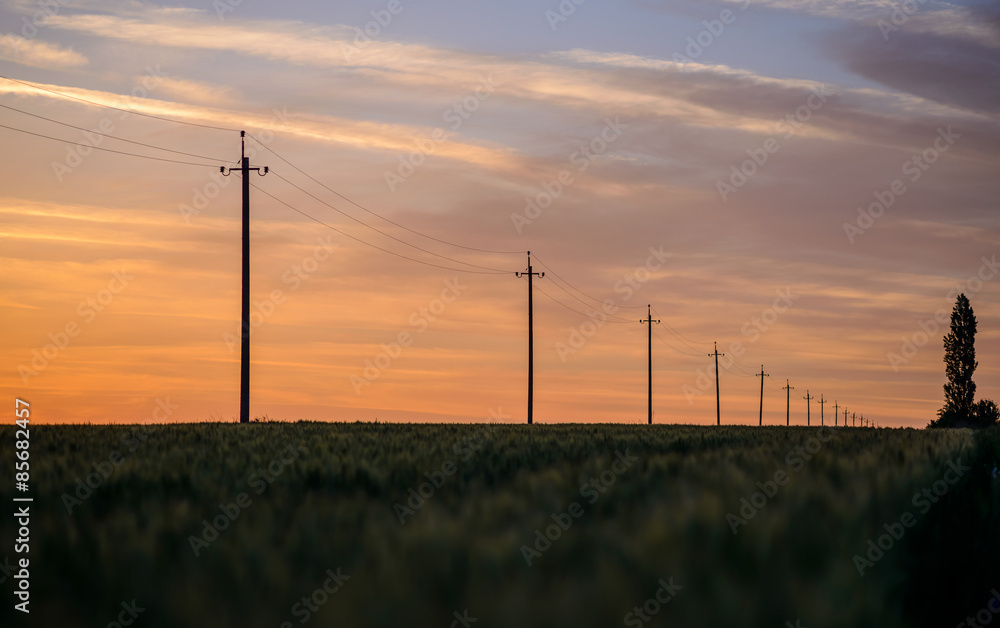 Fototapeta premium Hydro Poles in Rural Area at Sunset