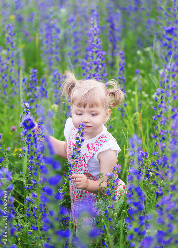 Little girl looking at a flower field Little girl looking at a flower field