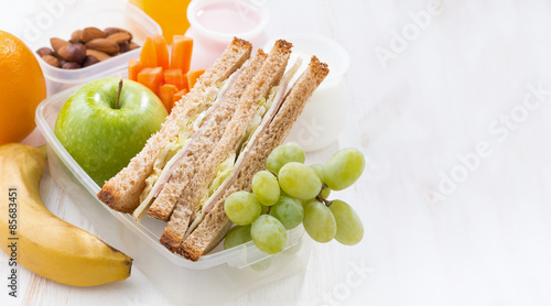 school lunch with sandwiches and fruit on white background