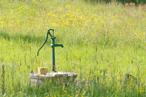 Green waterpump in meadow full of yellow flowers