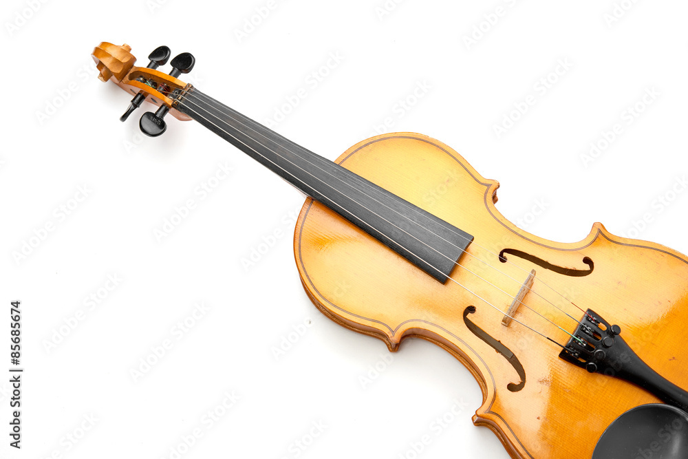 Obraz premium violin on white background