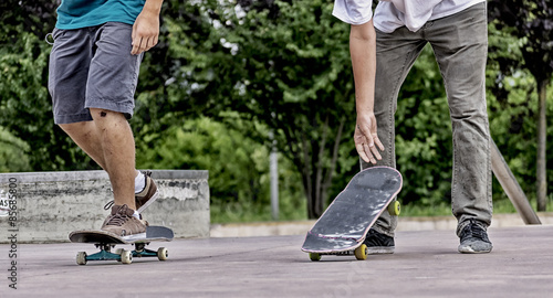 THE SKATERS