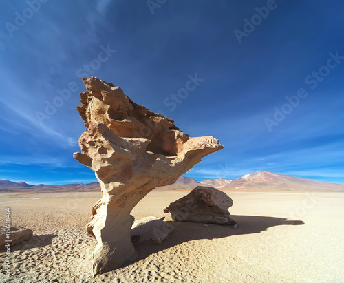 Stone tree, Altiplano, Bolivia
