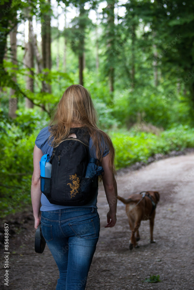 Frau geht mit Hund Gassi im Wald Frau geht mit Hund Gassi im Wald