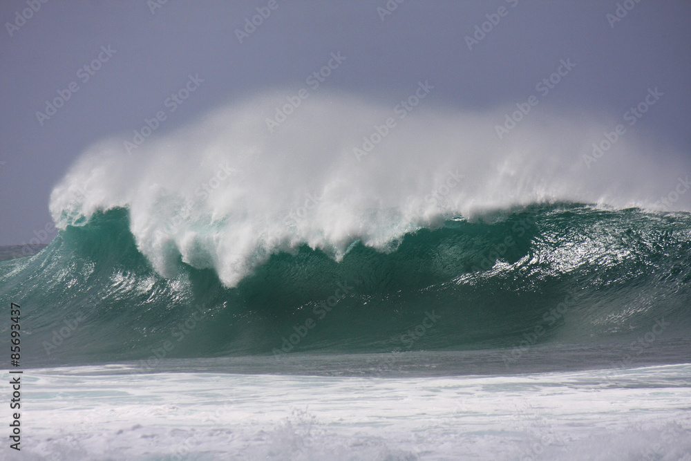 big wave in Hawaii, USA