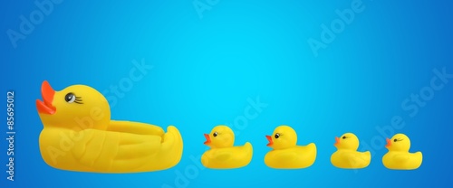 Rubber Duck, Following, Duckling.