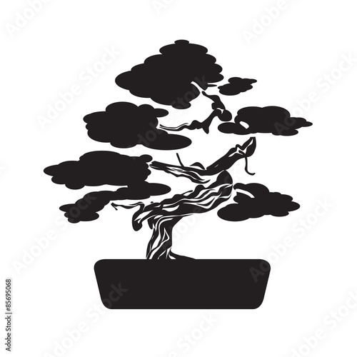 Black Bonsai Tree