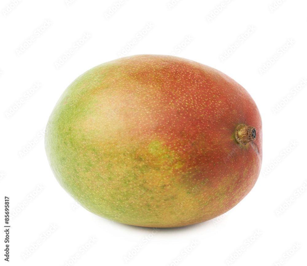 Single mango fruit isolated