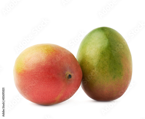 Two mango fruits isolated