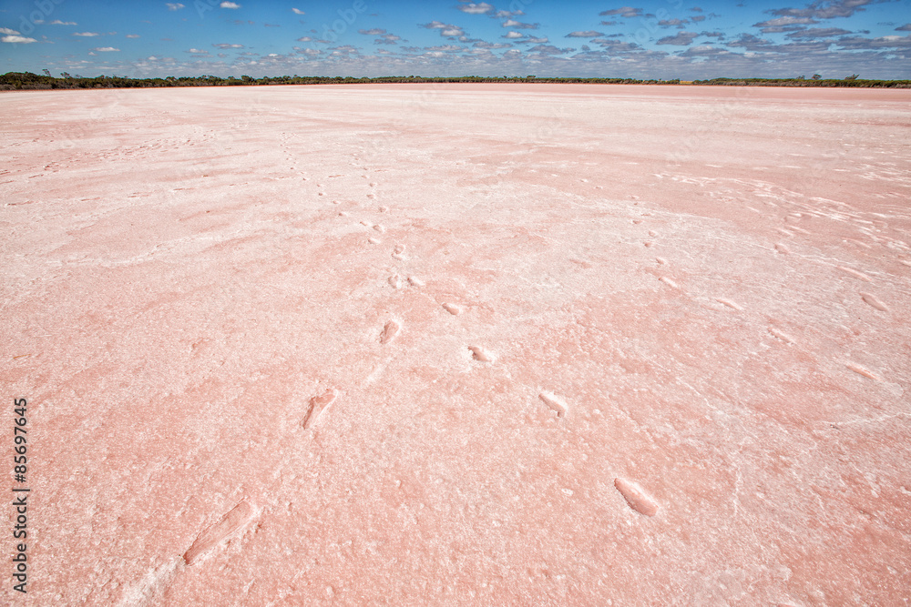 Pink Lake Pink Lake